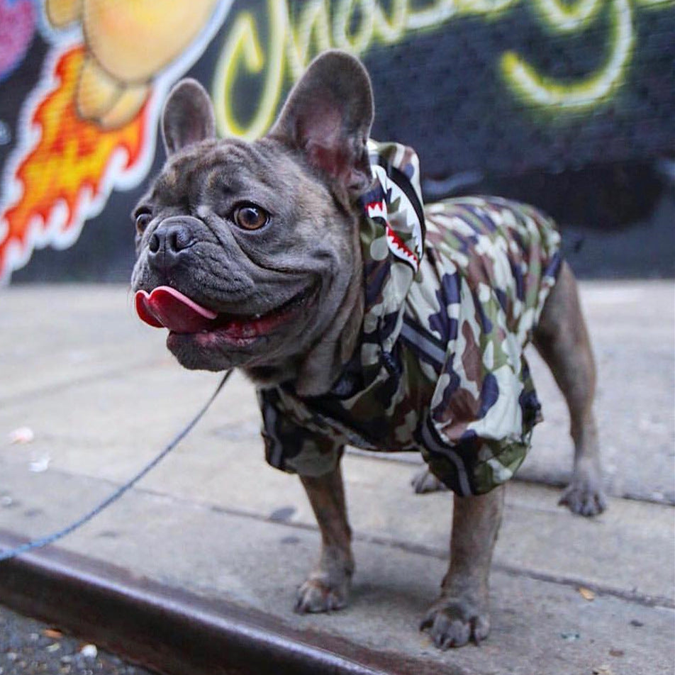 Barking Pup Camo Bape Dog Jacket
