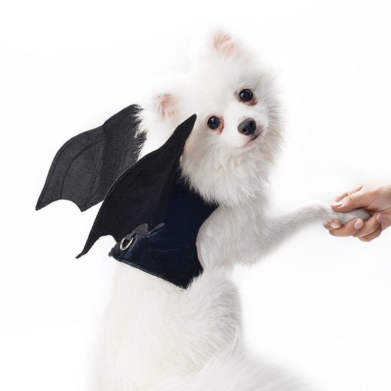 Bat Wings Vampire Costume