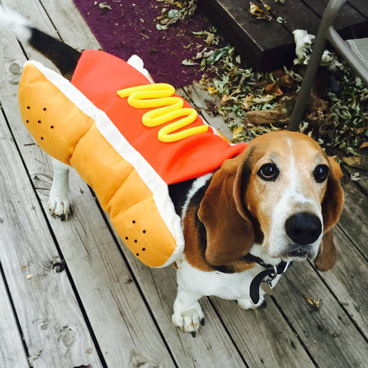 Pet Hot Dog Burger Sandwich Costume