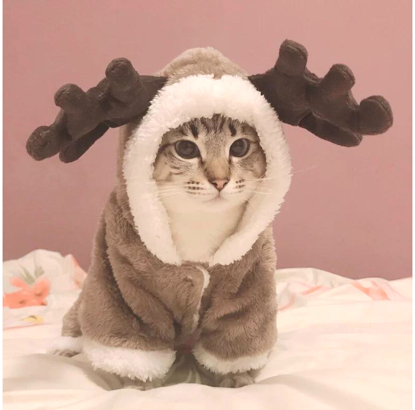 Elk Santa's Christmas Reindeer Hoodie Onesie Costume