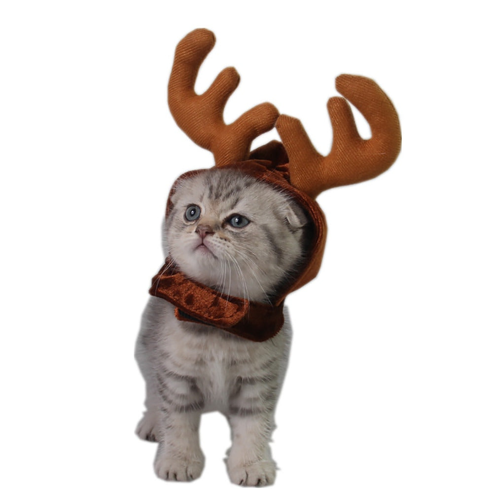 https://toebeansapparel.com/cdn/shop/products/funny-dog-cat-costume-christmas-cloak-ha_main-3_1445x.jpg?v=1634186256