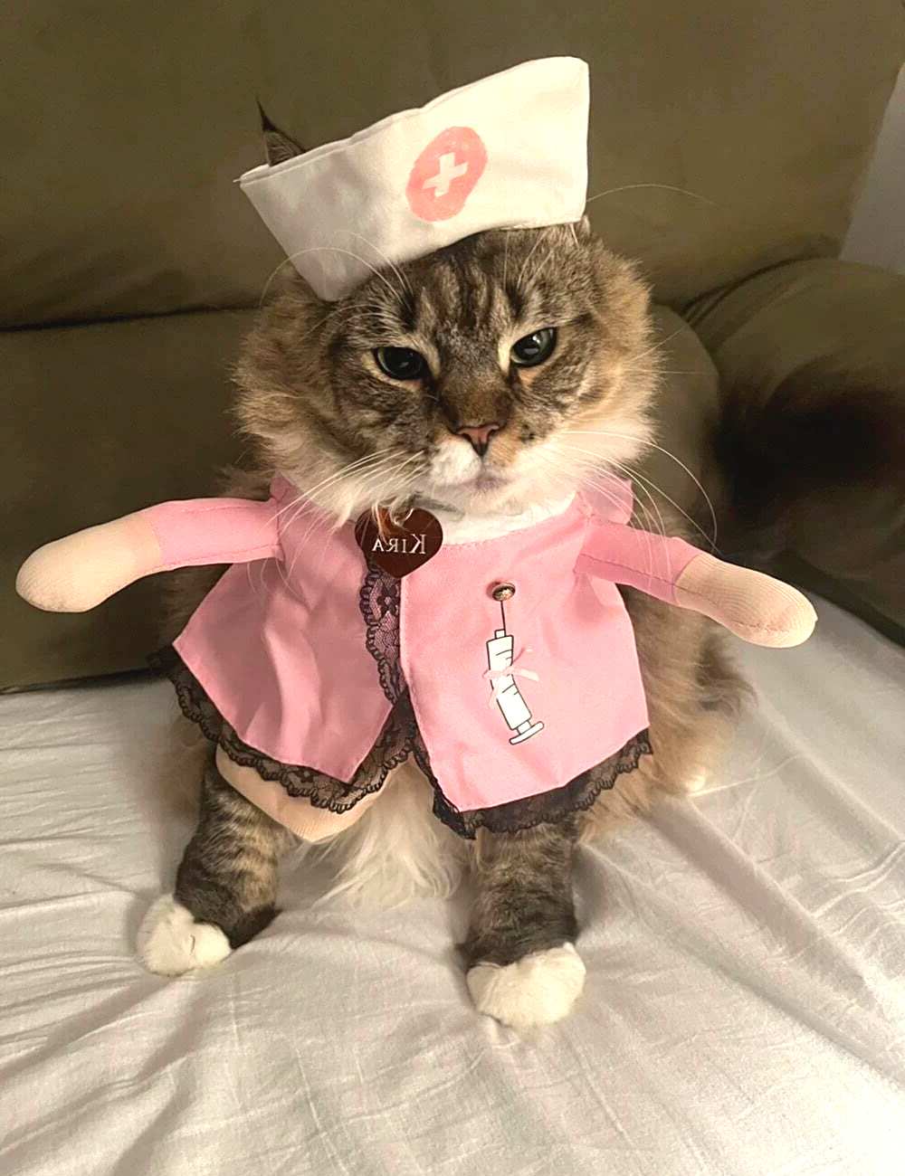 Nurse Old Fashioned Hospital Costume