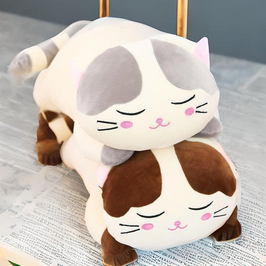 Sleeping lazy cat hugging plush cushion