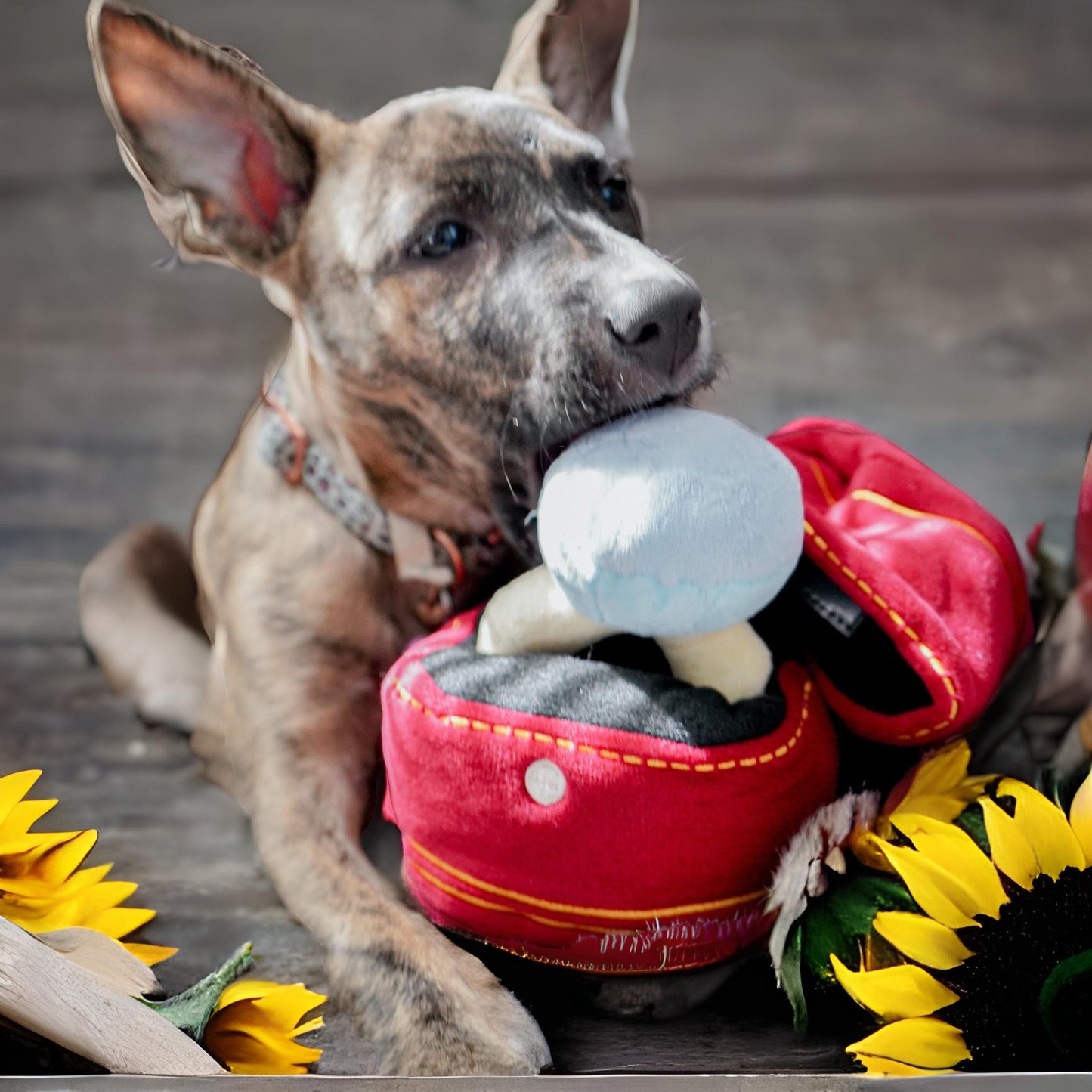 Plush Diamond ring dog toy