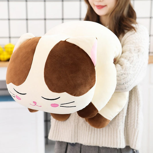 Sleeping lazy cat hugging plush cushion