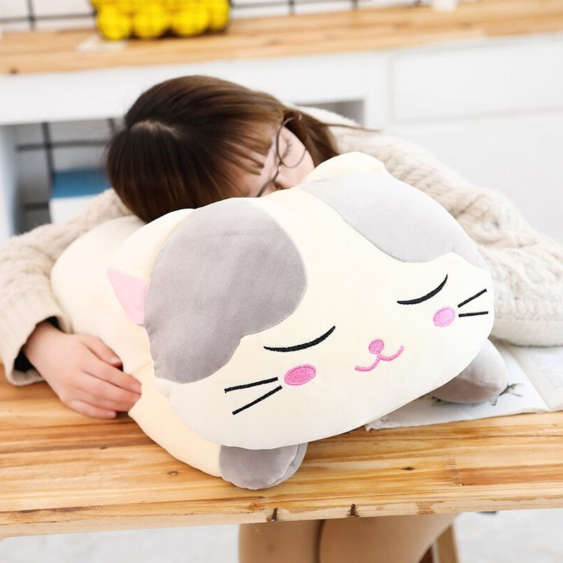 Sleeping lazy cat hugging plush cushion